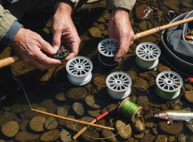 selecting tippet size for trout