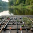 carp fishing rigs guide