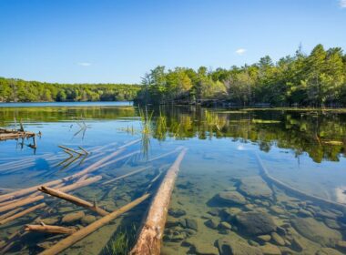 locating bass habitats easily