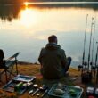 organized carp fishing strategies