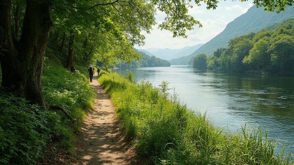 exploring usk trail s pathways