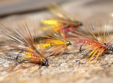 beginner caddis fly patterns