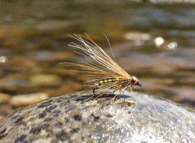 caddis dry fly importance