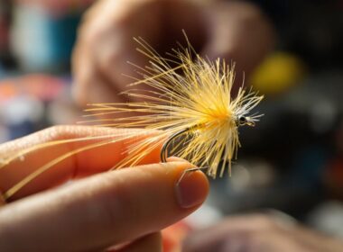 creating sulphur fly pattern