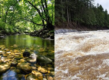 creek versus river distinctions