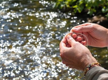 tippet to leader knot